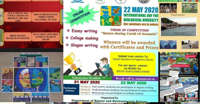 World University organises National level online competitions