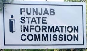 Punjab State Information Commission goes virtual through video conference and web meetings-photo courtesy-internet