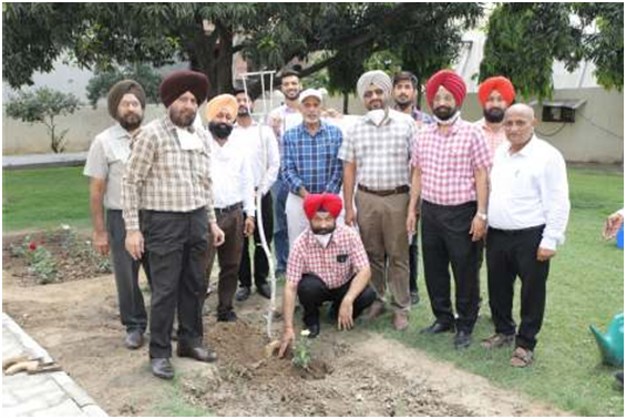 JGND Punjab State Open University organized ‘Plantation Drive’