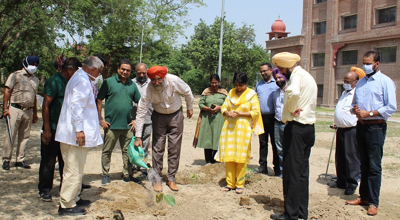 MRSPTU celebrates Van Mahotsav - revive 'Triveni' plantation tradition