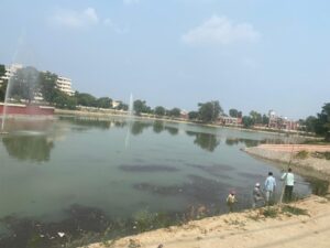 Dead fishes in Rajindra Lake; rejuvenation work completed-Administration