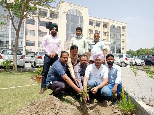 plant pic ਜ਼ਿਲ੍ਹਾ ਲੋਕ ਸੰਪਰਕ ਅਫਸਰ ਵੱਲੋਂ ਡੀ.ਸੀ. ਦਫਤਰ ਵਿਖੇ ਲਗਾਇਆ ਗਿਆ ਪੌਦਾ
